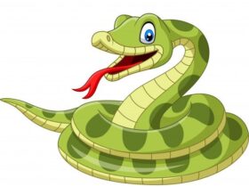 Kode Alam Ular Togel: Makna, Tafsir Mimpi, dan Perspektif Rasional